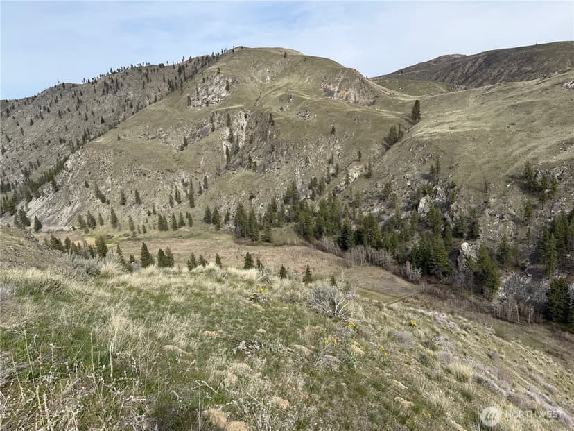 Property photo for 2830 Antoine Creek Road, Chelan photo 3