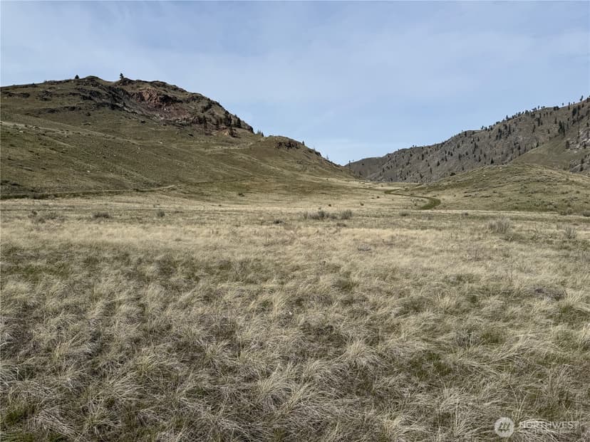 Property photo for 2830 Antoine Creek Road, Chelan photo 11