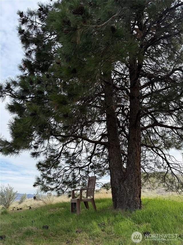 Property photo for 2830 Antoine Creek Road, Chelan photo 4