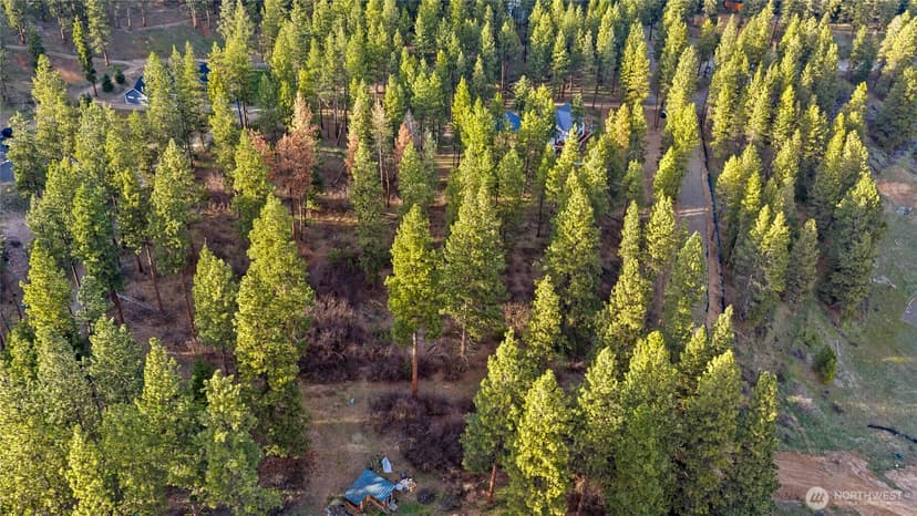 Property photo for 250 Fir Tree Drive, Cle Elum photo 7