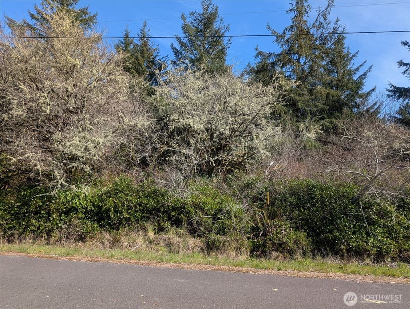 Property photo for 133 Cloquallum Street SE, Ocean Shores