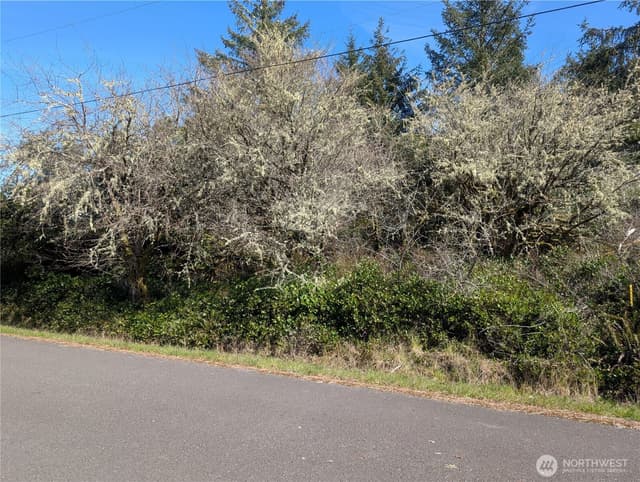 Property photo for 133 Cloquallum Street SE, Ocean Shores photo 2