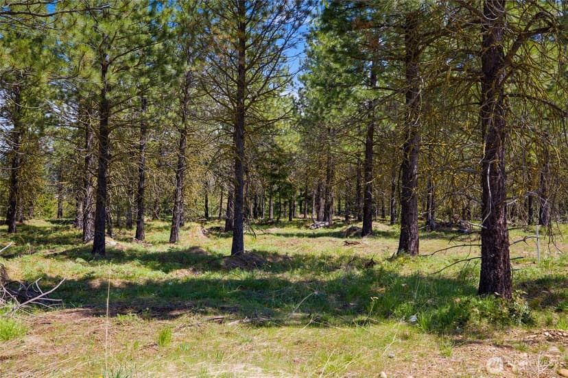 Property photo for 45 Gold Leaf Lane, Cle Elum photo 9
