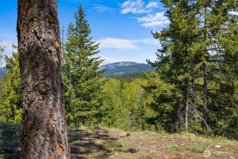 Property photo for 45 Gold Leaf Lane, Cle Elum photo 7