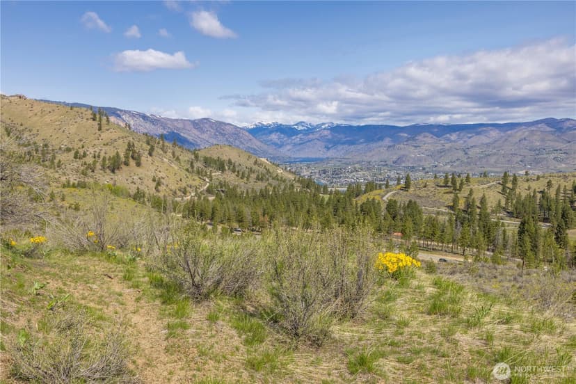Property photo for 1 Bear Mountain Road, Chelan photo 9