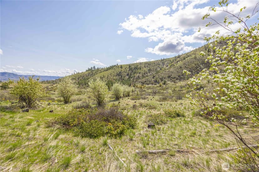 Property photo for 1 Bear Mountain Road, Chelan photo 14