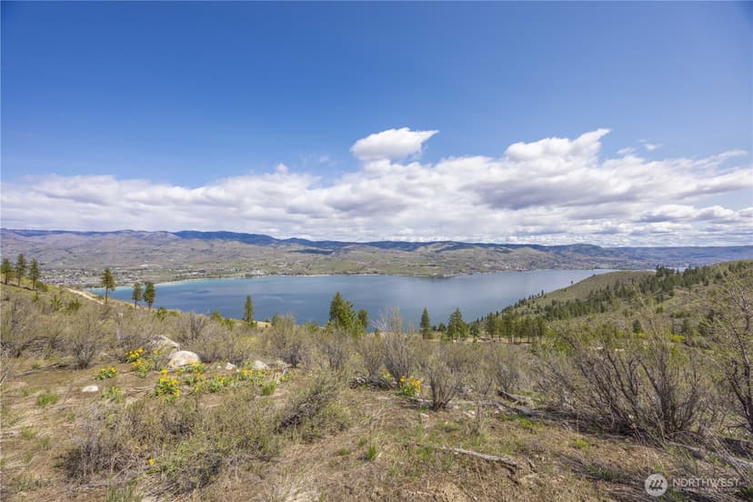 Property photo for 1 Bear Mountain Road, Chelan photo 22