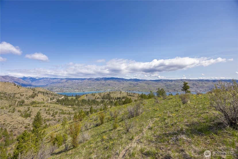 Property photo for 1 Bear Mountain Road, Chelan photo 10