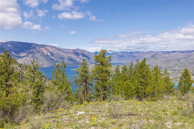 Property photo for 1 Bear Mountain Road, Chelan photo 25