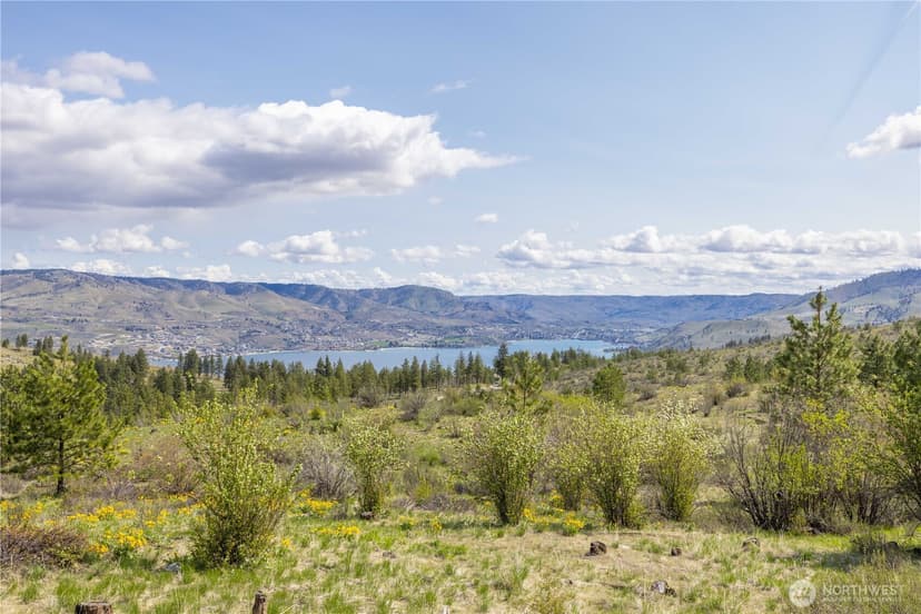 Property photo for 1 Bear Mountain Road, Chelan photo 15