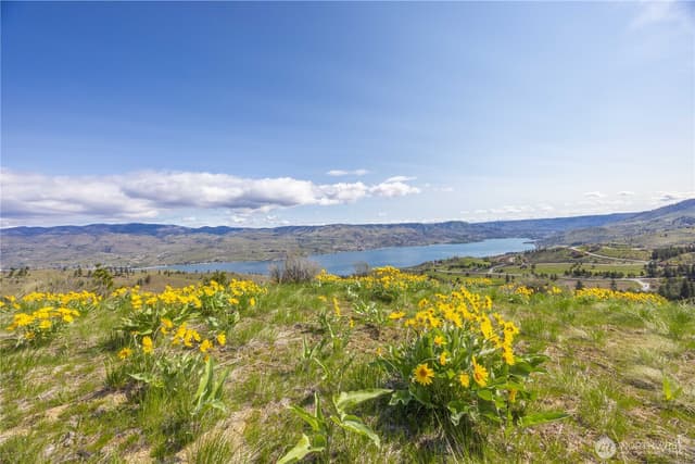 Property photo for 1 Bear Mountain Road, Chelan photo 2
