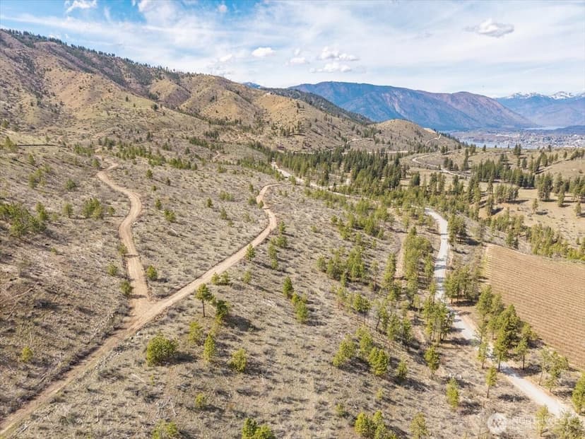 Property photo for 1 Bear Mountain Road, Chelan photo 31
