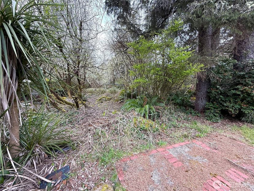 Property photo for 381 Dolphin Avenue NE, Ocean Shores photo 33