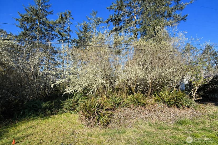 Property photo for 381 Dolphin Avenue NE, Ocean Shores photo 32