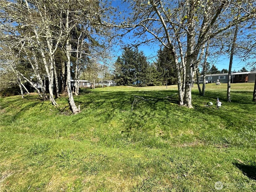 Property photo for 732 Edgewood Avenue NE, Ocean Shores photo 5