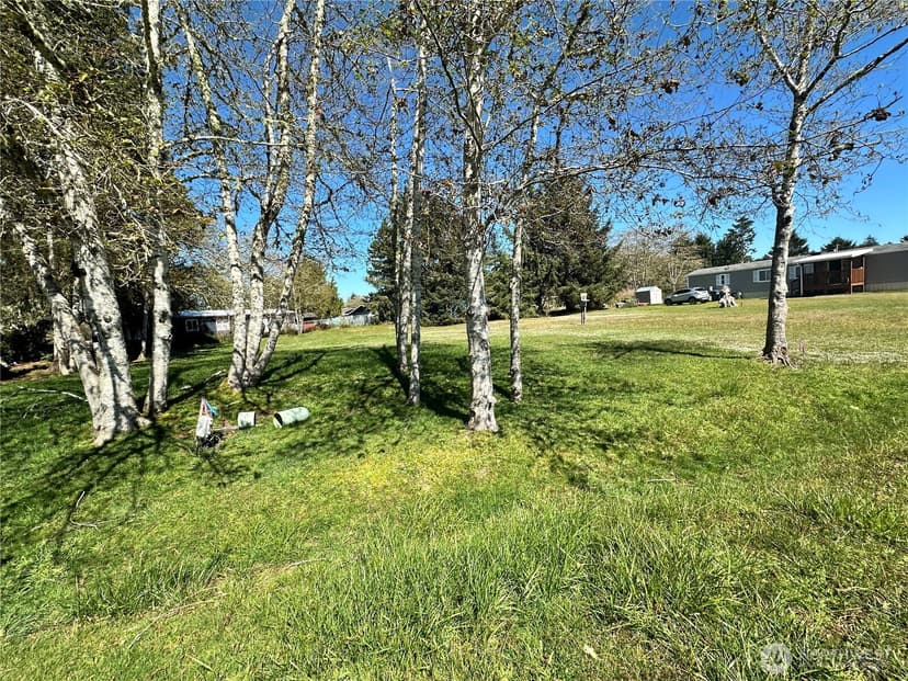 Property photo for 732 Edgewood Avenue NE, Ocean Shores photo 3