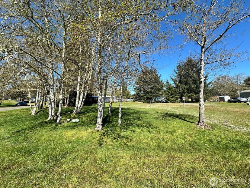 Property photo for 732 Edgewood Avenue NE, Ocean Shores photo 6