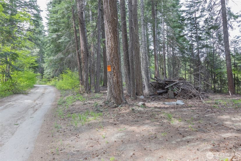 Property photo for 0 Forest Service 6601-550 Rd, Leavenworth photo 6