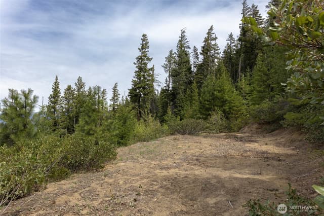 Property photo for 0 Forest Service 6601-550 Rd, Leavenworth photo 2