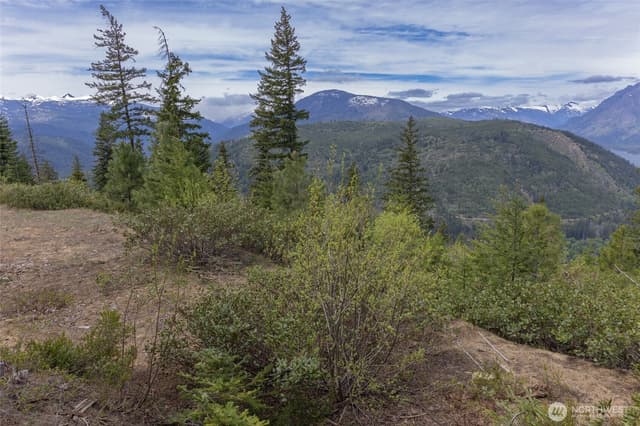 Property photo for 0 Forest Service 6601-550 Rd, Leavenworth photo 4
