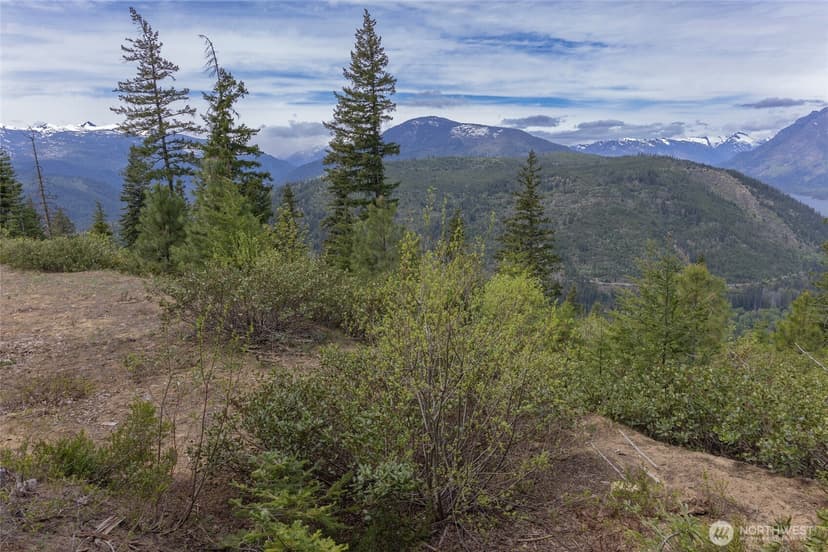 Property photo for 0 Forest Service 6601-550 Rd, Leavenworth photo 4