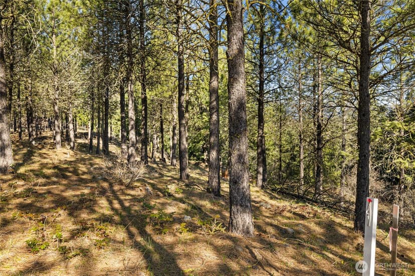 Property photo for 47 Gold Leaf Lane, Cle Elum photo 6
