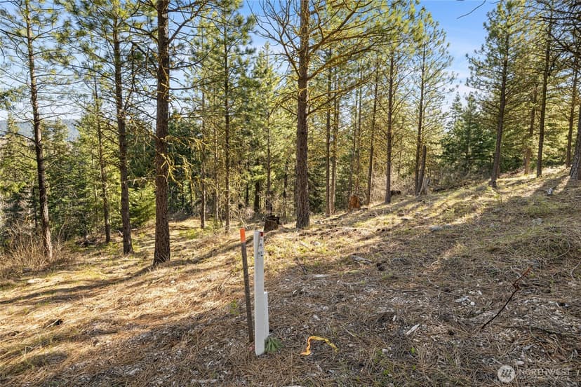 Property photo for 47 Gold Leaf Lane, Cle Elum photo 8