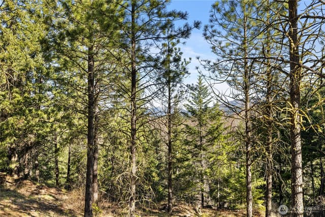 Property photo for 47 Gold Leaf Lane, Cle Elum photo 5