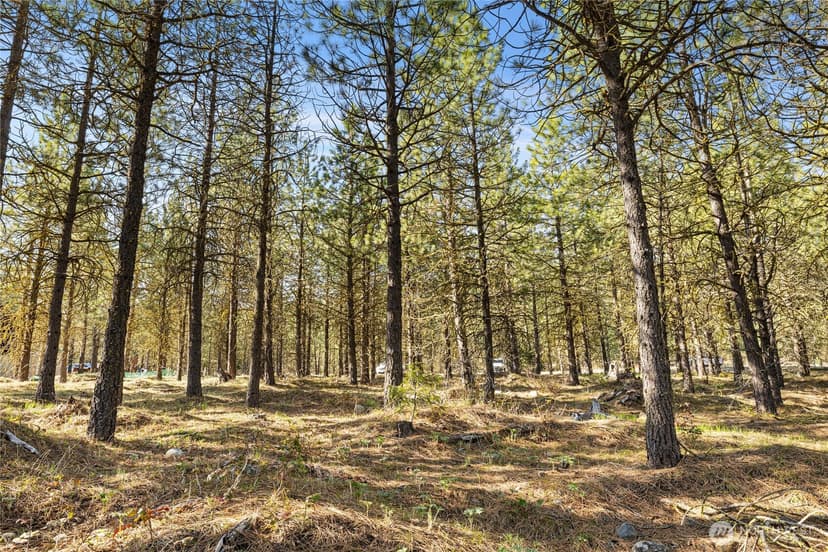 Property photo for 47 Gold Leaf Lane, Cle Elum photo 9