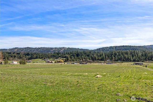 Property photo for 0 XXX Lower Peoh Point Road, Cle Elum photo 2