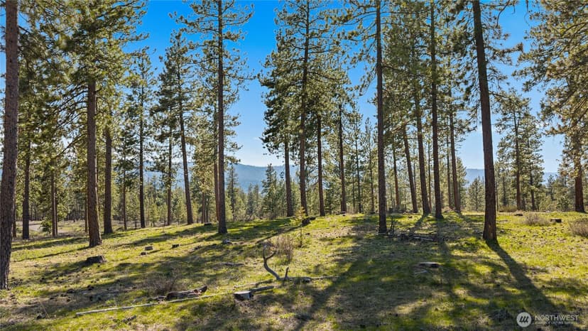 Property photo for 0 XXX Flying M, Cle Elum photo 6