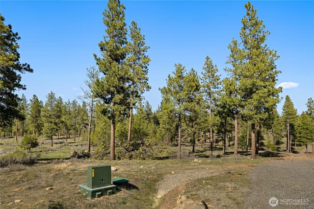 Property photo for 0 XXX Flying M, Cle Elum photo 5