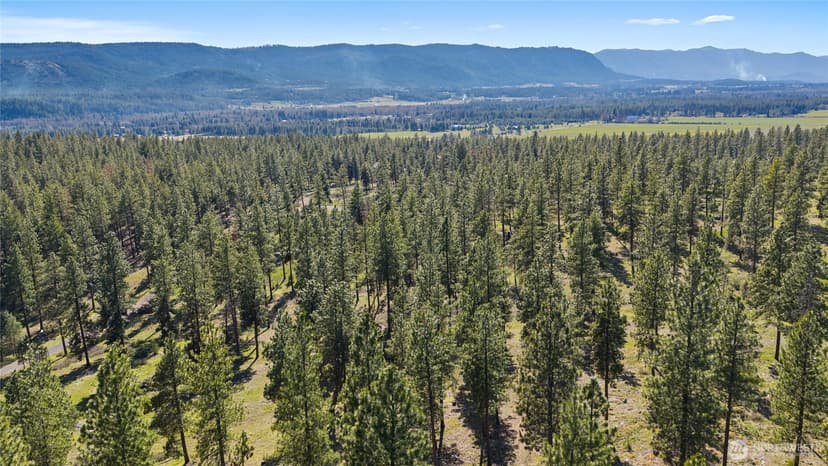 Property photo for 0 XXX Flying M, Cle Elum photo 14