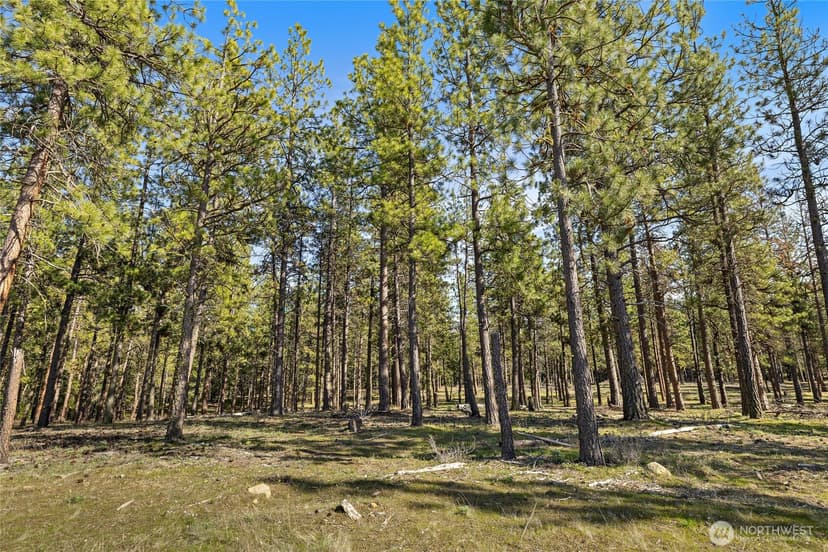 Property photo for 0 XXX Flying M, Cle Elum photo 7