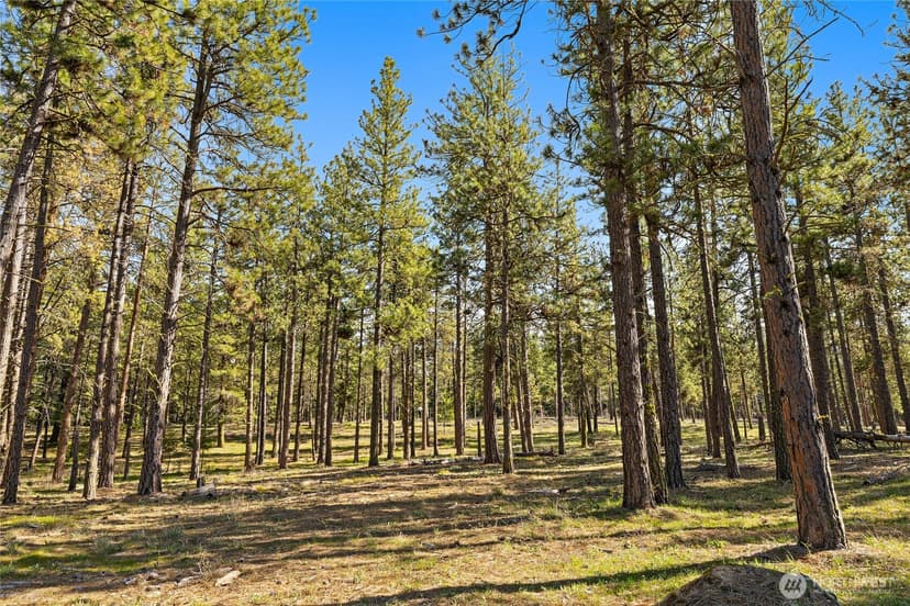 Property photo for 0 XXX Flying M, Cle Elum photo 11