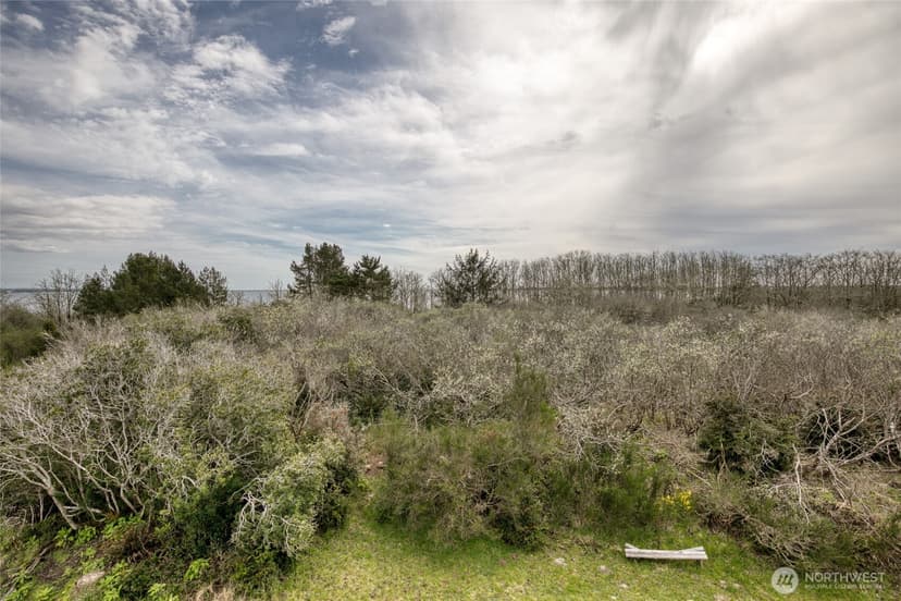 Property photo for 171 Marine View Drive SE, Ocean Shores photo 27