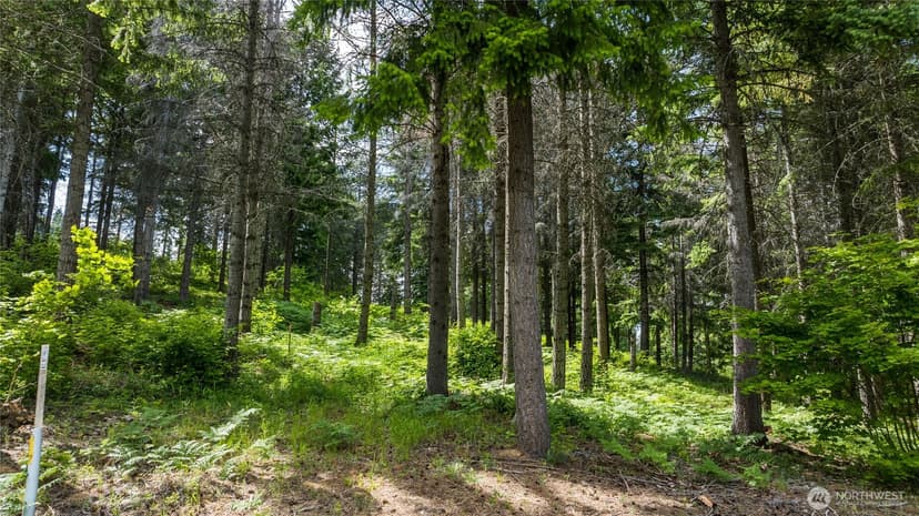 Property photo for 351 Quick Creek Lane, Cle Elum photo 4