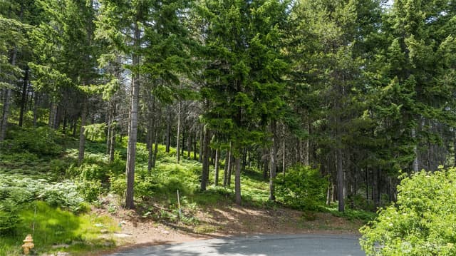 Property photo for 351 Quick Creek Lane, Cle Elum photo 3
