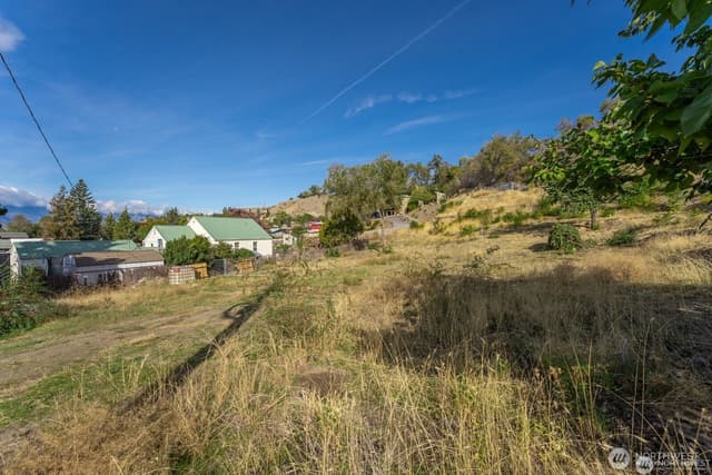 Property photo for 0 XXX Nixon Avenue, Chelan photo 2