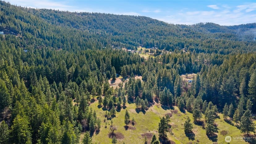 Property photo for 0 XXX Thornton Creek Lane, Cle Elum photo 7