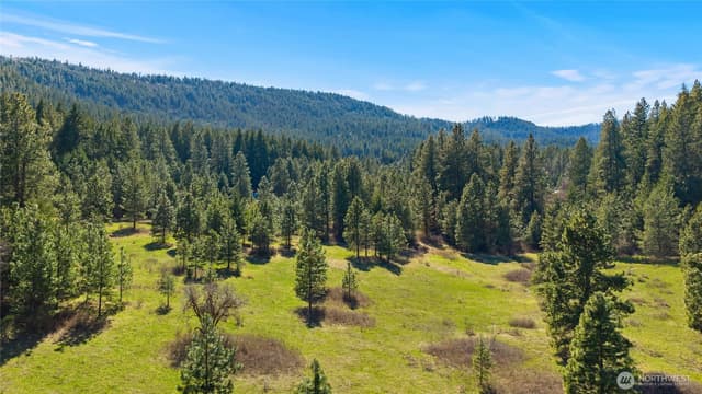 Property photo for 0 XXX Thornton Creek Lane, Cle Elum photo 2