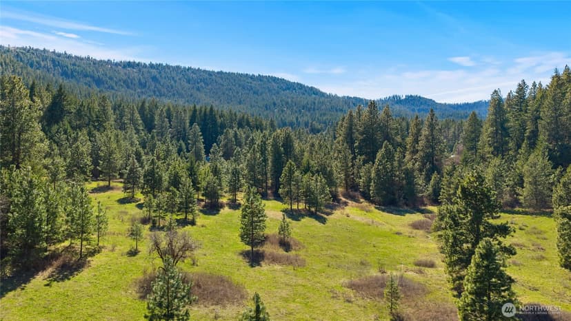 Property photo for 0 XXX Thornton Creek Lane, Cle Elum photo 2