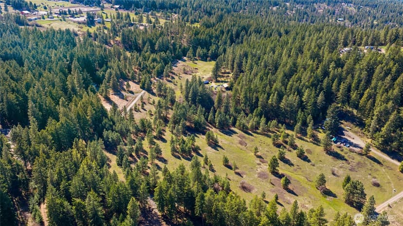Property photo for 0 XXX Thornton Creek Lane, Cle Elum photo 5