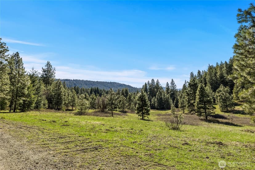 Property photo for 0 XXX Thornton Creek Lane, Cle Elum