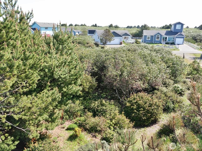 Property photo for 1056 1057 Greenview Avenue SW, Ocean Shores photo 19