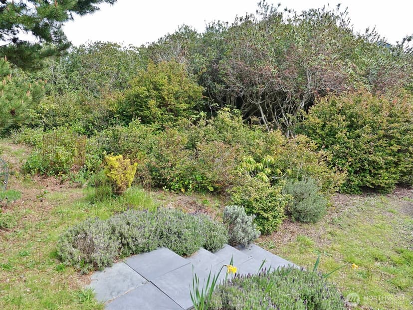 Property photo for 1056 1057 Greenview Avenue SW, Ocean Shores photo 17