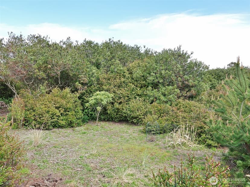 Property photo for 1056 1057 Greenview Avenue SW, Ocean Shores photo 21