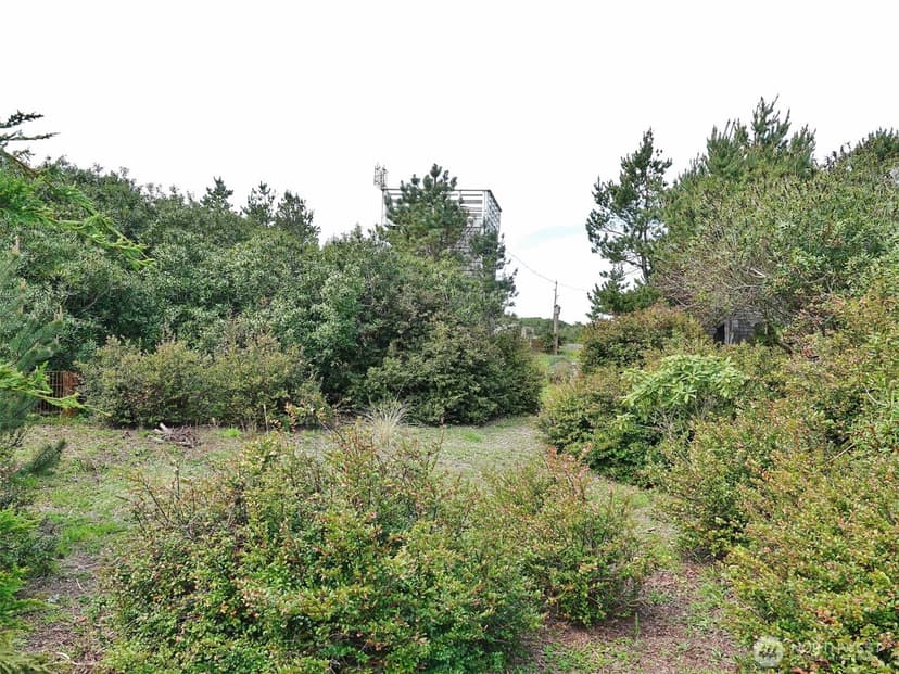 Property photo for 1056 1057 Greenview Avenue SW, Ocean Shores photo 20