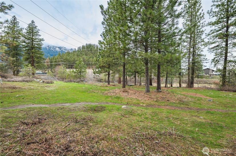Property photo for 0 Alpensee Strasse, Leavenworth photo 16