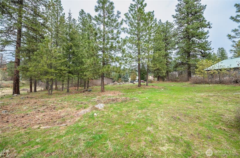 Property photo for 0 Alpensee Strasse, Leavenworth photo 13